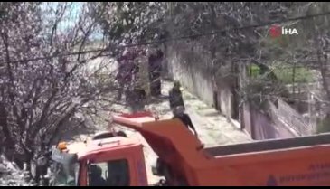 Silivri'de define faciası