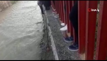 Yavru köpek dereye düştü