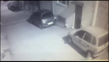 Bursa'da genç kadın kedinin süt annesi oldu