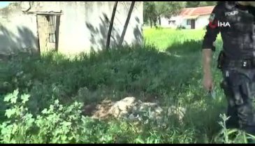 Boş arazide bulunan mezar ekipleri harekete geçirdi