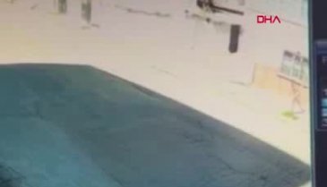 Yola fırlayan yavru köpek ezilmekten kurtulamadı