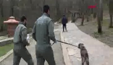 6 gündür kayıp olan Arda, Belgrad Ormanı'nda aranıyor