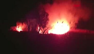 Bursa'da sazlık alanda yangın