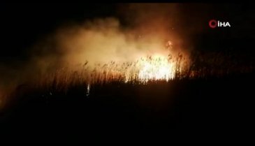 Bursa'da sazlık alanda yangın -2
