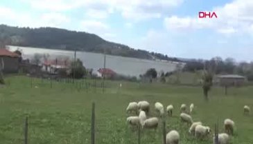 11 seçmenli köyde oy verme işlemi 1 saatte bitti