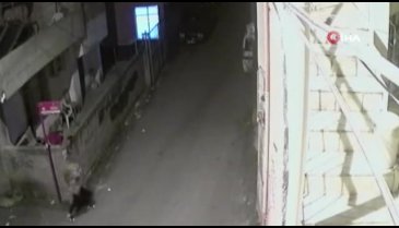 Kapkaç dehşeti kamerada