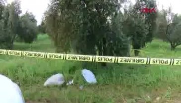 Yabani ot toplamaya gitmişti... Cansız bedeni bulundu