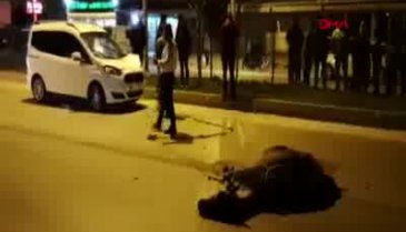 Bursa'da başıboş at kazaya yol açtı