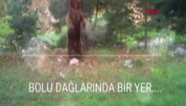 Doğal yaşamın güzelliği foto ve videokapana yansıdı