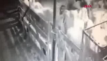 Ahıra giren ayı koyunlara saldırdı