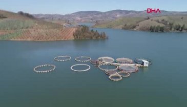 Bursa'da denize kıyısı olmayan ilçeden dünyaya balık ihracatı