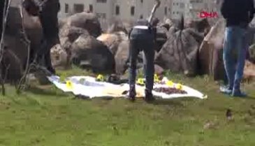 Tarlada çok sayıda mühimmat bulundu