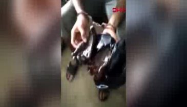 Kurutulmuş insan elleri ile yakalandı