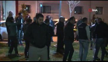 Ankara'da 13 köpek zehirlenerek öldürüldü