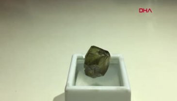 237 bin dolarlık elması çalan Mısırlı kadın yakalandı