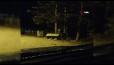 Bursa'da ayının ayak izleri dağcıları korkuttu