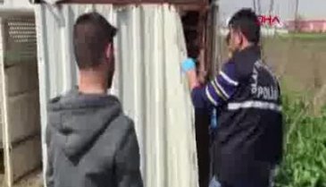 Bursa'da tanesi 20 bin lira olan 15 taklacı güvercini çaldılar