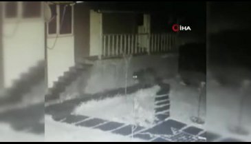 Bursa İnegöl'de lojman bahçesine ayı girdi