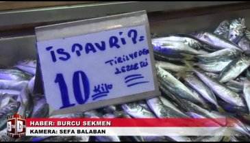 Bursa'daki balık tezgahları güneşi bekliyor (ÖZEL HABER)