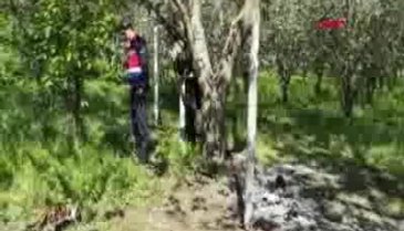 Bursa'da birlikte alkol aldığı arkadaşını av tüfeğiyle vurdu