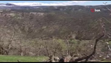 Şırnak'ta teröristlerin 36 sığınak ve mağarası imha edildi
