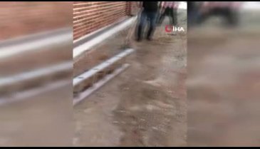 Bursa'da yılana yapılan işkence sosyal medyada tepki çekti
