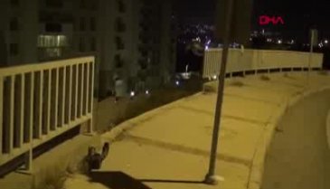 Demir korkulukları aşan otomobil metrelerce uçtu! 4 yaralı