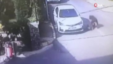 Magandadan küçük çocuğa ölümüne dayak!