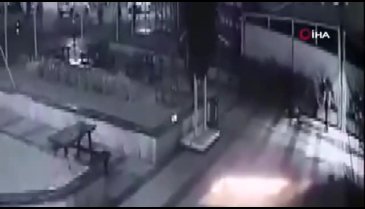 İçinde yavruların olduğu kedi evini metrelerce uzağa fırlattı