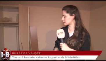 Bursa'da vahşet! Yavru kedilerin kafalarını kopardılar