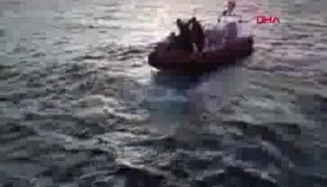 Piyasa değeri 66 milyon TL!
