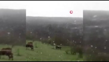 Mayıs ayında lapa lapa kar yağdı