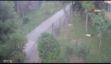 Alarm kilidine kola dökerek motosiklet çaldılar