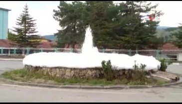 Süs havuzunu görenler şaşkına döndü
