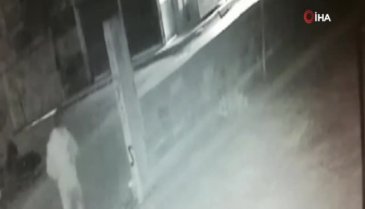 Bu da tavuk hırsızı!