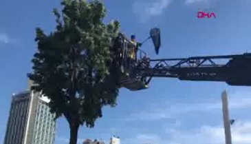 Taksim Meydanı'nda karga kurtarma operasyonu