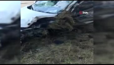 Hurdaya dönen otomobilin içinden sağ kurtuldular