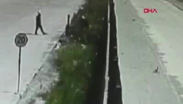 Vicdansızlık! Yavru köpeği çitlerin üzerinden fırlatıp attı