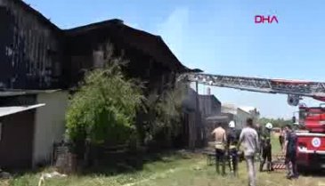 Antalya'da korkutan yangın!