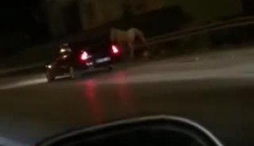 Bursa trafiğinde at tehlikesi