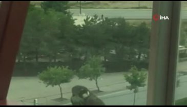 Yırtıcı kuşun güvercini yediği anlar böyle görüntülendi