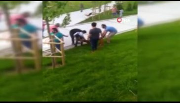 Parkta pitbull dehşeti