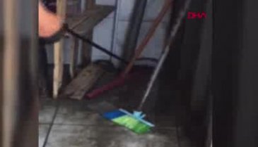 Oto yıkamacıya giren yılanı itfaiyeciler yakaladı
