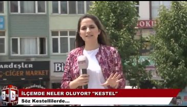 İlçemde neler oluyor? 'Kestel'