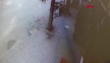 Bursa'da otomobil kıraathaneye daldı: 2 yaralı