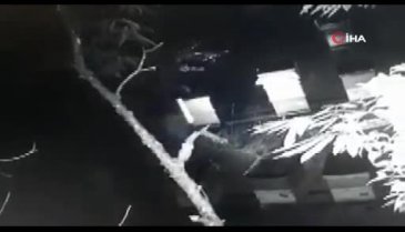 Komşusunun arı kovanlarını deviren vatandaş böyle görüntülendi!