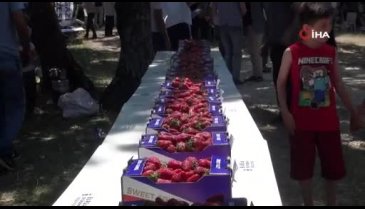 Bursa Mahmudiye Çilek Festivali büyük ilgi gördü