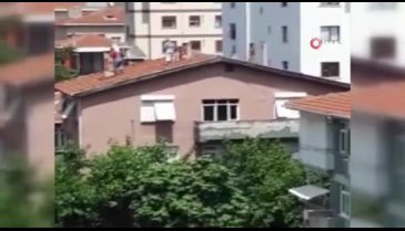 Çatıda tadilat yapanlar ile martının ilginç mücadelesi