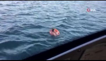 Bursa'da 12 saat sonra denizde işte böyle bulundu