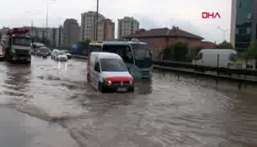 Sel sularına kapılan yavru kedi, suni teneffüsle hayata döndü